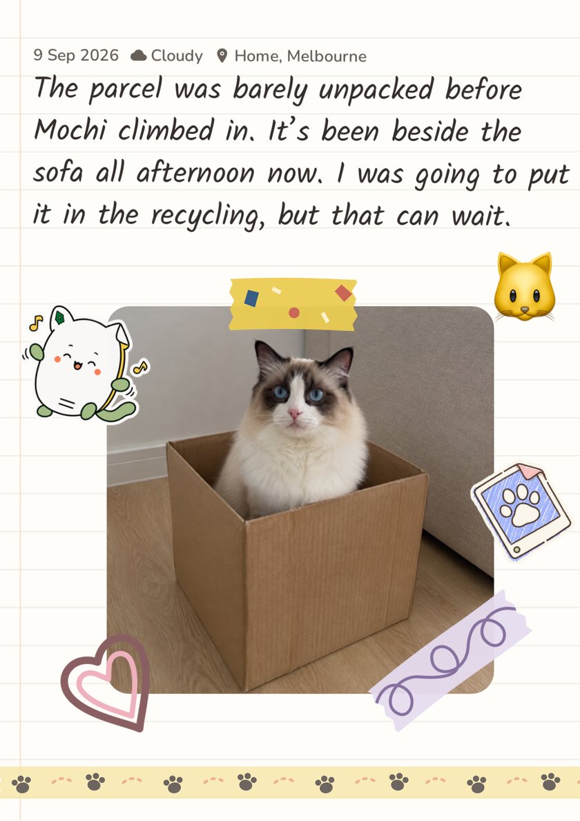 Furday scrapbook page: Mochi, a ragdoll cat, sitting in a cardboard box, with a diary entry