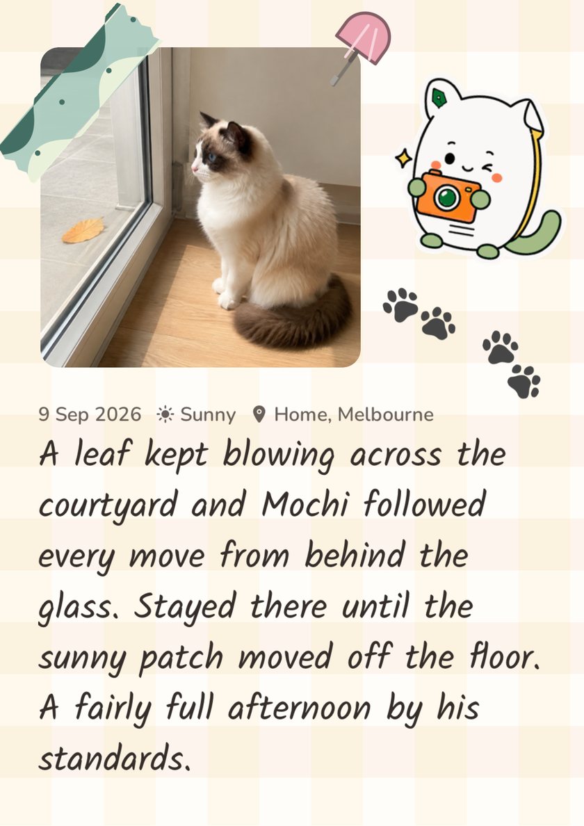 Furday scrapbook page: Mochi sitting by a floor-length window looking out, with a diary entry