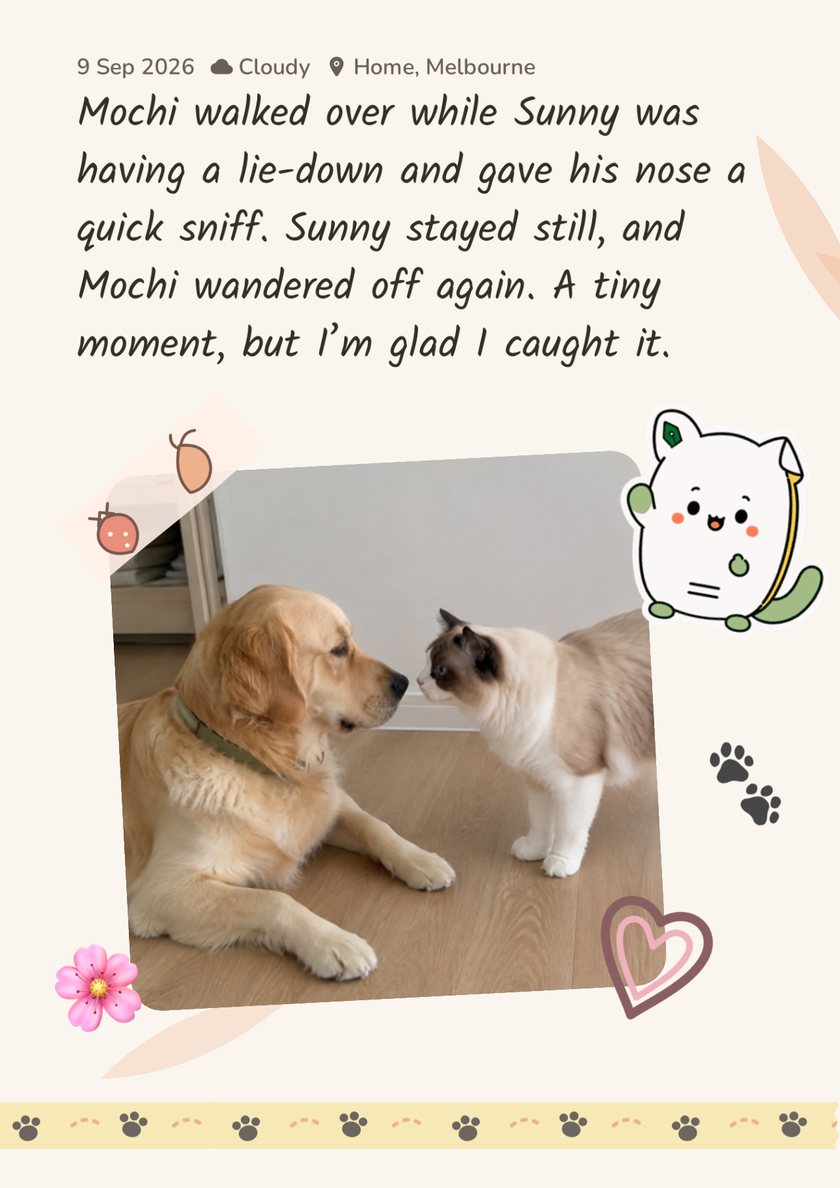 Furday scrapbook page: Mochi leaning in to greet Sunny, with a diary entry