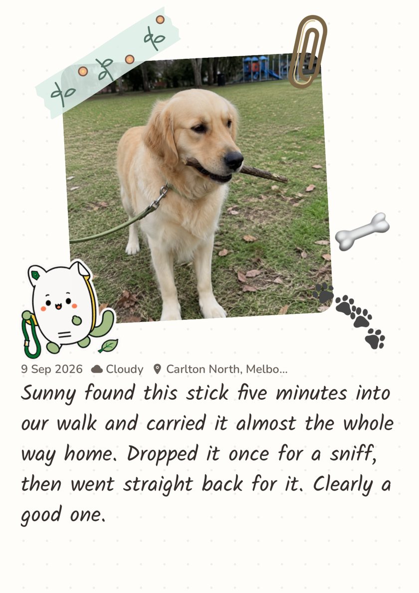 Furday scrapbook page: Sunny, a golden retriever, holding a stick on the grass, with a diary entry about the walk