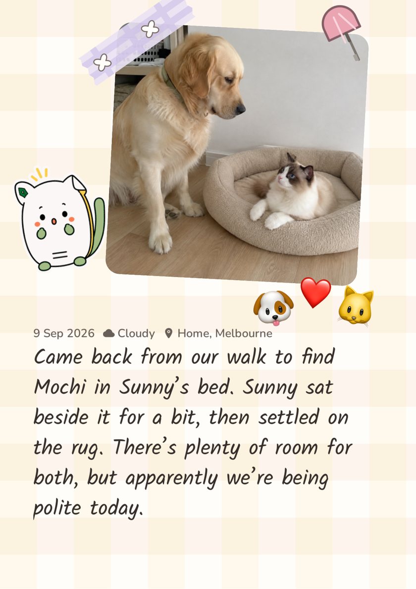 Furday scrapbook page: Sunny sitting beside his bed while Mochi the ragdoll cat sits in it, with a diary entry